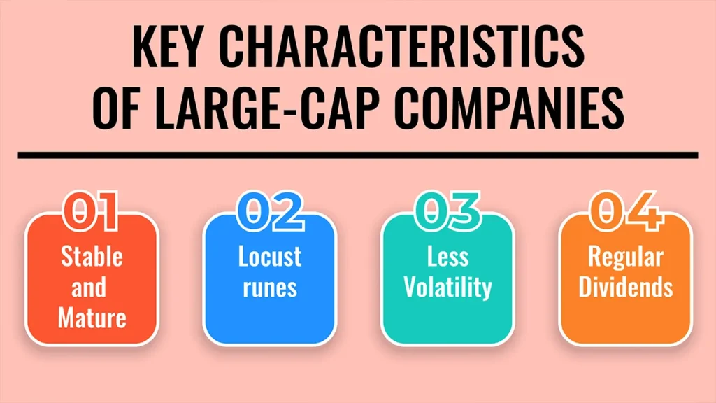 Investing in Large-Cap Funds for Stability and Growth