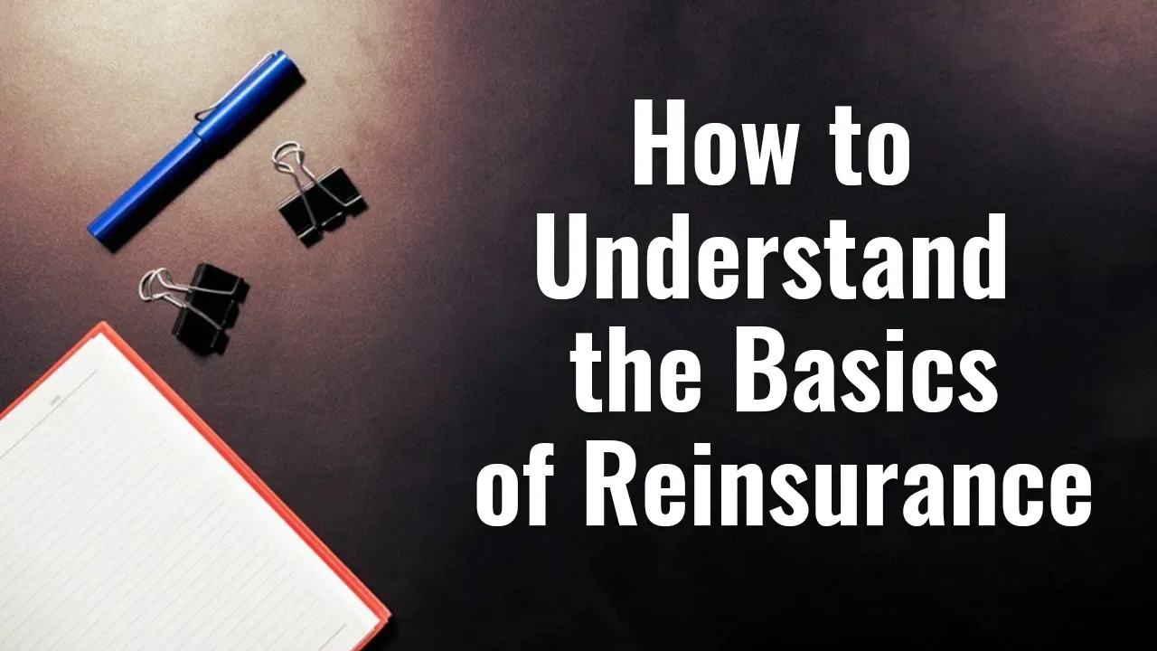 How to Understand the Basics of Reinsurance